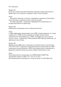 ЕГЭ. Биология.  Вопрос №1. В листьях зеленых растений интенсивно протекает процесс фотосинтеза.