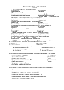 Диагностическая работа 9 класс 1 полугодие Вариант 1