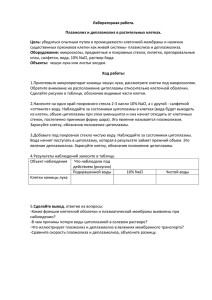 Лабораторная работа. Плазмолиз и деплазмолиз в растительных клетках. Цель: Оборудование: