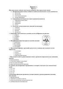 Вариант 1. Часть 1. При выполнении заданий этой части