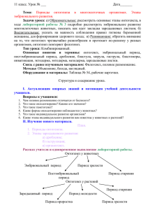 11 класс. Урок № ___ Дата_______ Тема: Периоды онтогенеза в