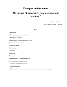 Реферат по биологии На тему: &#34;Строение эукариотической клетки&#34;