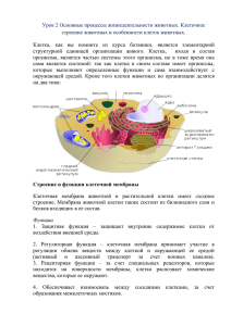 Урок 2 Основные процессы жизнедеятельности животных