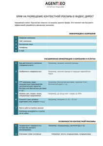 бриф на проведение контекстной рекламной компании