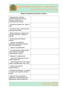 Бриф на разработку рекламного модуля