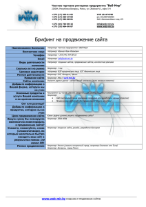 брифинг на продвижение сайта - Web-Mir