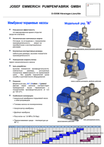 Каталог MS