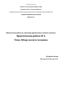 Практическая работа № 6 Тема: Обзор скелета человека Павлова И.Б.Носова Н.Ф.