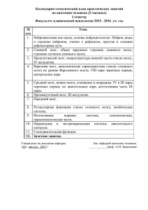 Календарно-тематический план практических занятий по анатомии человека (2-часовых) I семестр