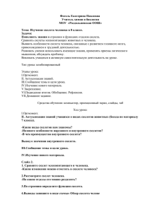 Урок. Изучение скелета человека в 8 классе