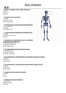 Тест: «Скелет»