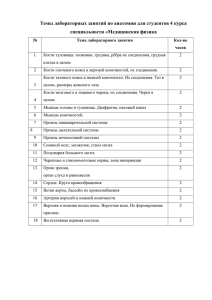 Темы лабораторных занятий по анатомии для студентов 4 курса