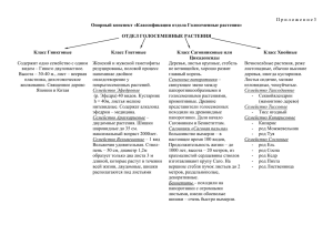 Классификация отдела Голосеменные растения