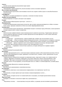 Амитоз Бесполое размножение Вегетативное размножение деление клеток простым разделением ядра надвое