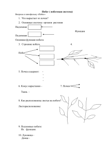 Побег ( побеговая система)