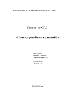 Тема: Интересное растение – репейник