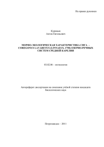 На правах рукописи  Курицын Антон Евгеньевич