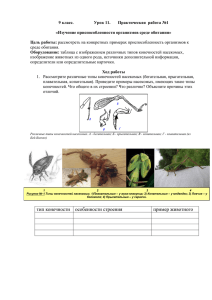 9 класс. Урок 11. Практическая работа №1 «Изучение