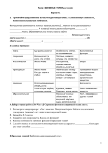 Тема «ОСНОВНЫЕ ТКАНИ растения» Вариант 1 Прочитайте