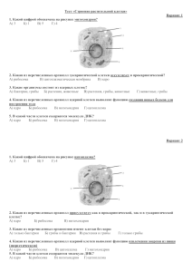 Тест «Строение растительной клетки» Вариант 1