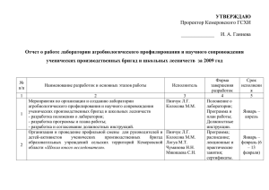 Отчет о проделанной работе за 2009 г.