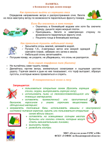 ПАМЯТКА о безопасности при лесном пожаре  Как правильно выйти из горящего леса