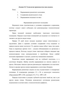 Лекция 10. Технология производства мяса индеек. План: Выращивание ремонтного молодняка 1.