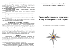 Правила безопасного поведения в лесу в пожароопасный период