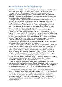 Что необходимо знать, чтобы не потеряться в лесу. Отправляясь