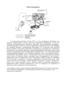 Обмен билирубина