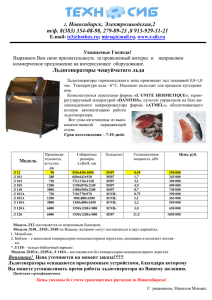 Ледогенератор чешуйчатый лед (484.5 Kb, 16.06.10)