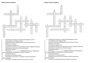 кроссворд кожа ногти волосы