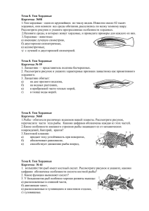 Тема 8. Тип Хордовые Карточка  №58