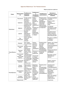 Царство Животные. Тип Членистоногие Образец, разрезные