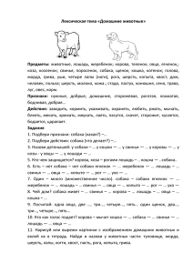 Лексическая тема «Домашние животные» Предметы: