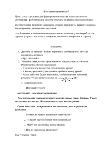 Кто такие насекомые? Цели: создать условия для формирования понятия «насекомые»(его