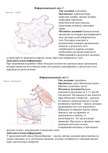 Информационный лист 1 Тип дыхания Организмы: животные (амёба, эвглена зелёная,