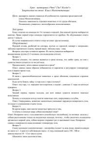 Урок - викторина «Что? Где? Когда?» Закрепление по теме: Класс Млекопитающие. Цель: