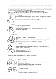 Любой целительный процесс в Рейки начинается с позиций рук на... этому  большое  значение  и  чаще ...