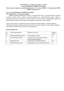 План-конспект  осенней экскурсии в 1 классе