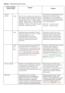 Таблица Пищеварительная система