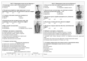 Вариант 1 Вариант 2 1. В пищеварительном тракте белки расщепляются до: