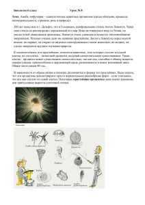 Биология 6 класс Урок № 8 Тема Амеба, инфузория