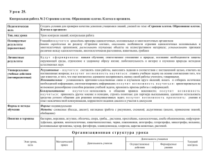 Организационная структура урока