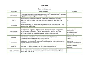 Анатомия понятие определение пример