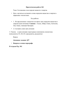 Практическая работа №2 Тема: Составление схем передач веществ и энергии.