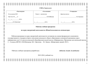 Рабочая программа по курсу внеурочной