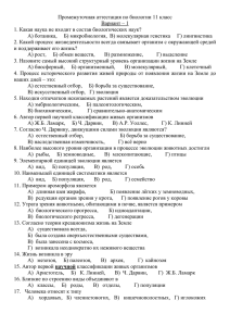 11 класс (24353)