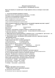 Биология человека 8 класс Тестовая работа «Эндокринная система»