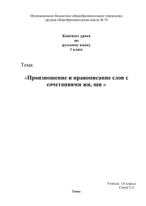 Произношение и правописание слов с сочетаниями жи, ши